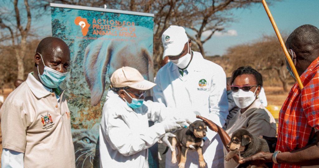 APAA Banner + T-shirts